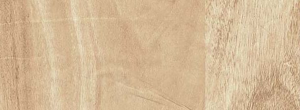 Sape Walnut Light