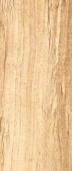Belmont Wood Light