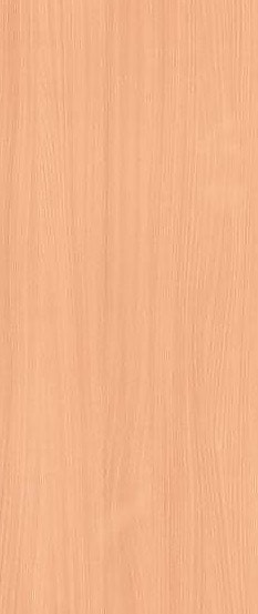 Bavarian Beech