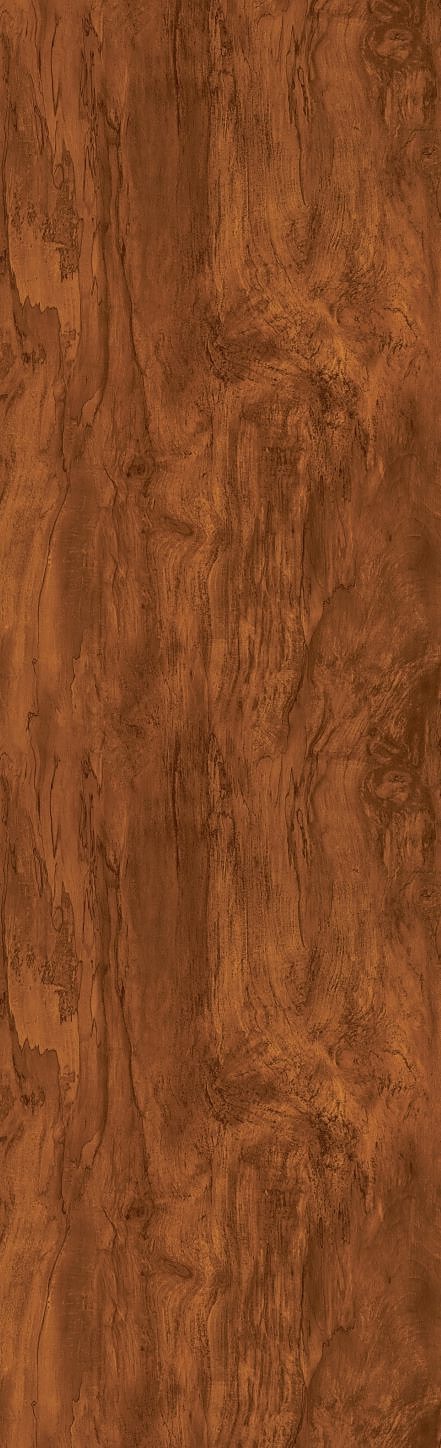 Terra Wood