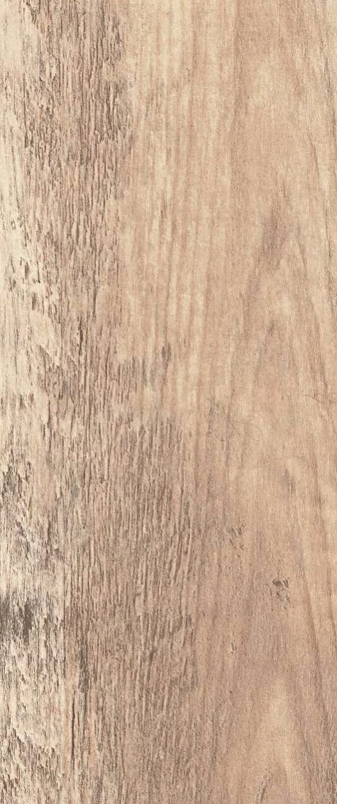Amazon Wood Light