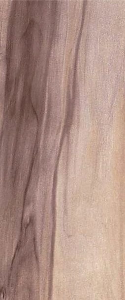 Swiss Walnut Light